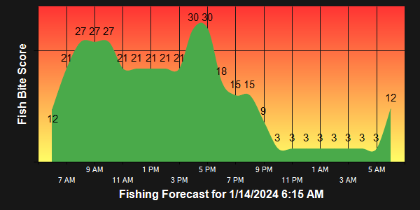 Lake Wylie Fishing (January 10, 2024 Update)