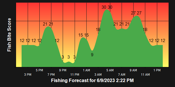 Daytona Beach Fishing (June 9, 2023 Update)